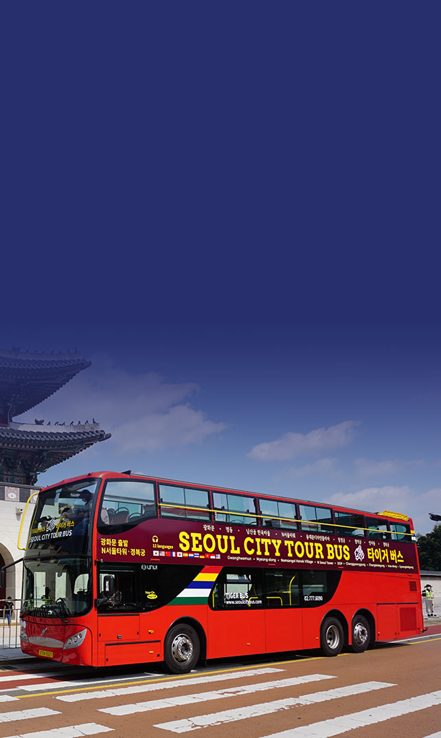 seoul city tour bus review